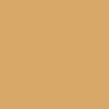 1N1 Ivory Nude, Light with neutral peach undertones