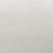 White color swatch