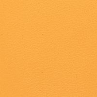 Light Orange- Leather
