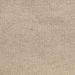Ivory color swatch