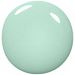 Mint Candy Apple (mint green with a cream finish) color swatch