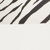 Zebra/vanilla