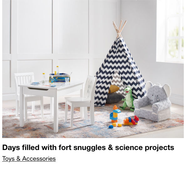 Days filled with fort snuggles and science projects, Toys and Accessories