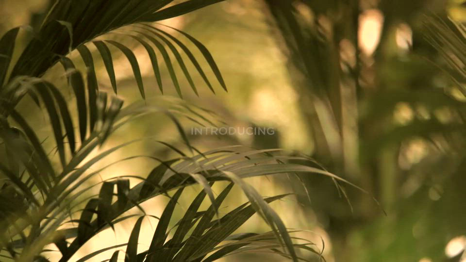 Michael Kors Exotic Blossom Eau de Parfum Limited Edition Spray