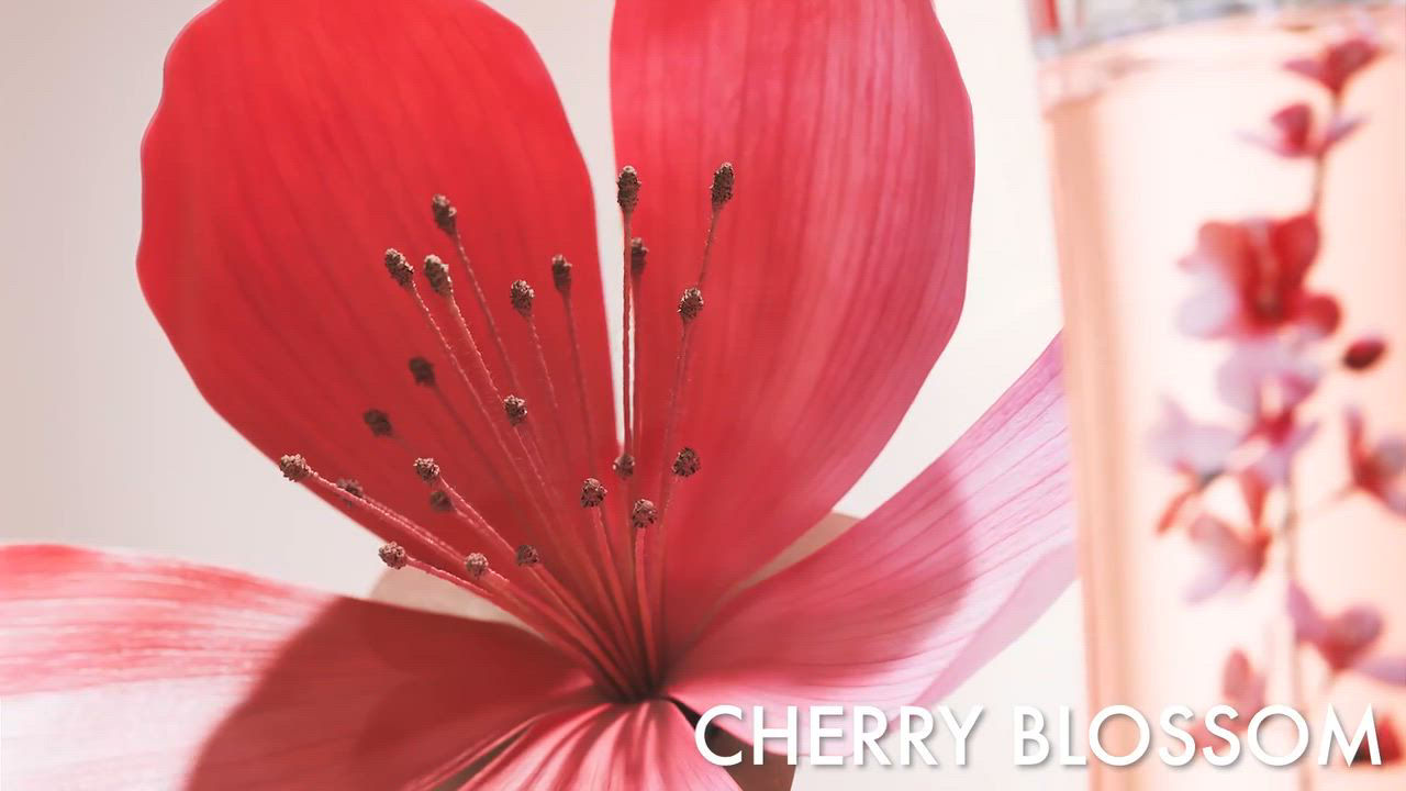 Flower IKEBANA バイケンゾーイケバナ 75ml 限定エディション FLOWER IKEBANA BY KENZO - KENZO PARFUMS