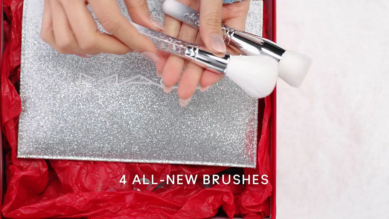 Amazon.com: MAC Brush Of Snow Essential Brush Kit : Beauty