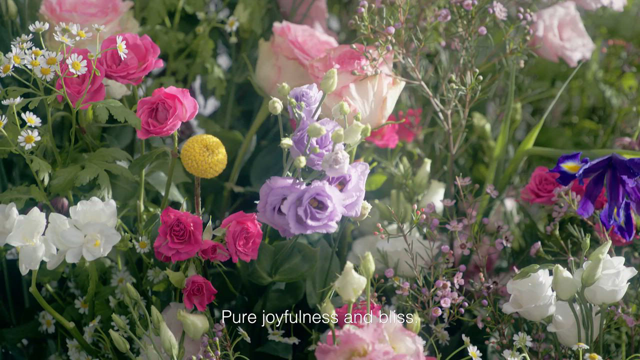 DIOR 3-Pc. Miss Dior Blooming Bouquet Eau de Toilette Lifestyle