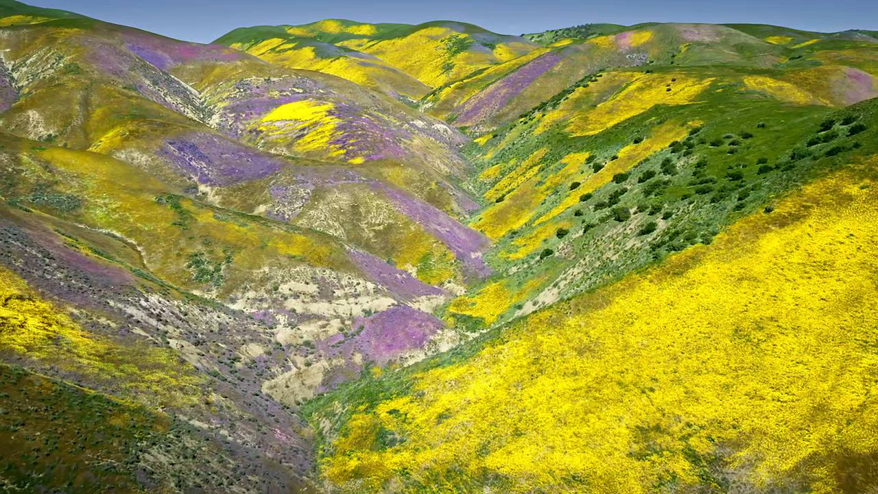 GUERLAIN 3-Pc. Aqua Allegoria Florabloom Forte Eau de Parfum Gift