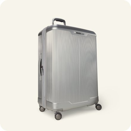 Checked Luggage