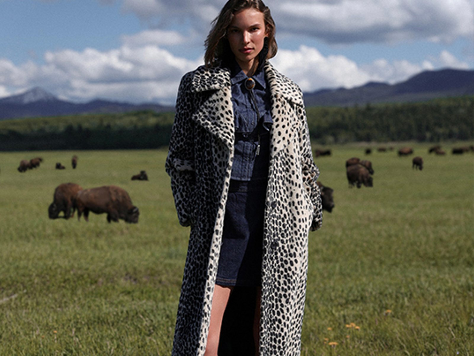 Jackets & Coats