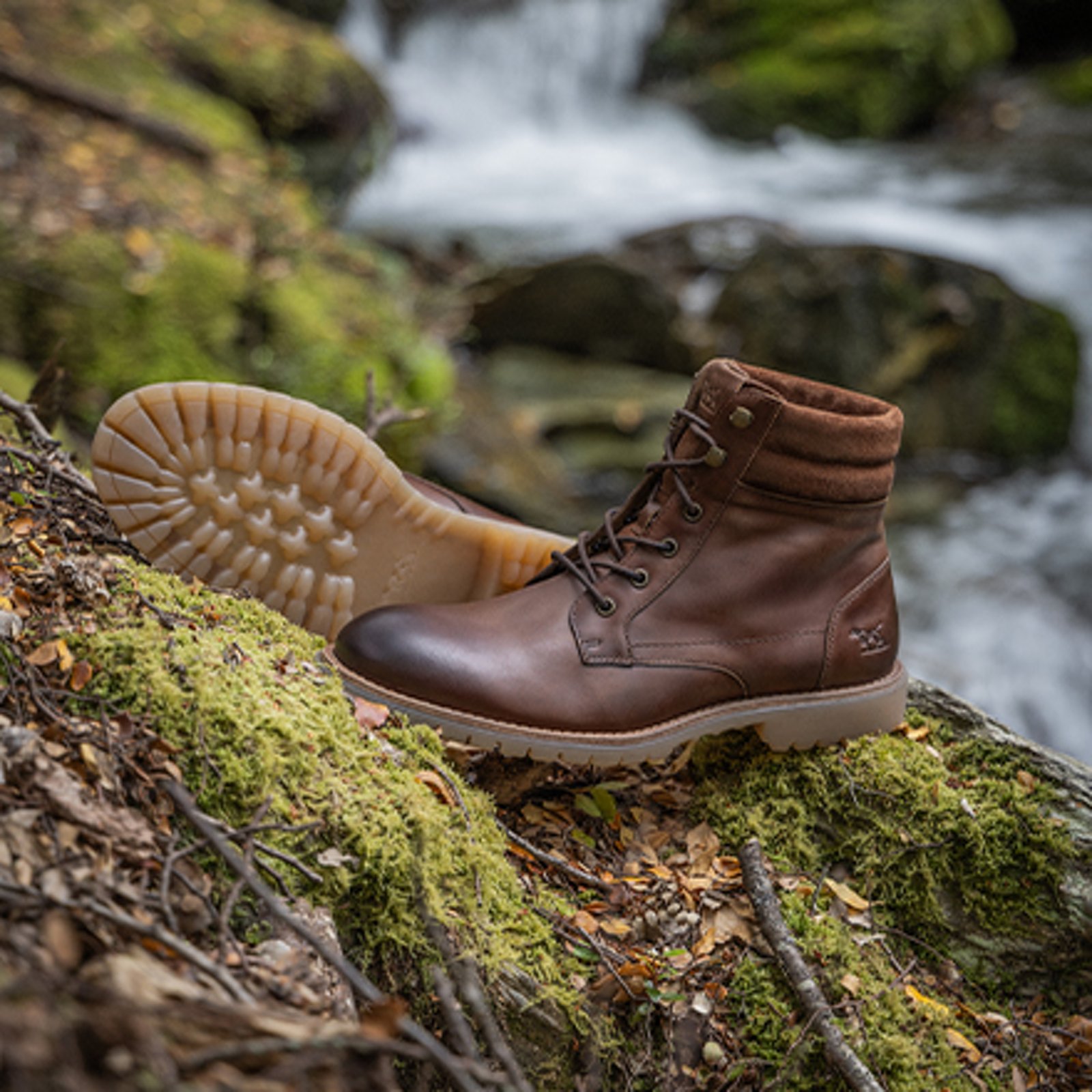 Footwear & Accessories