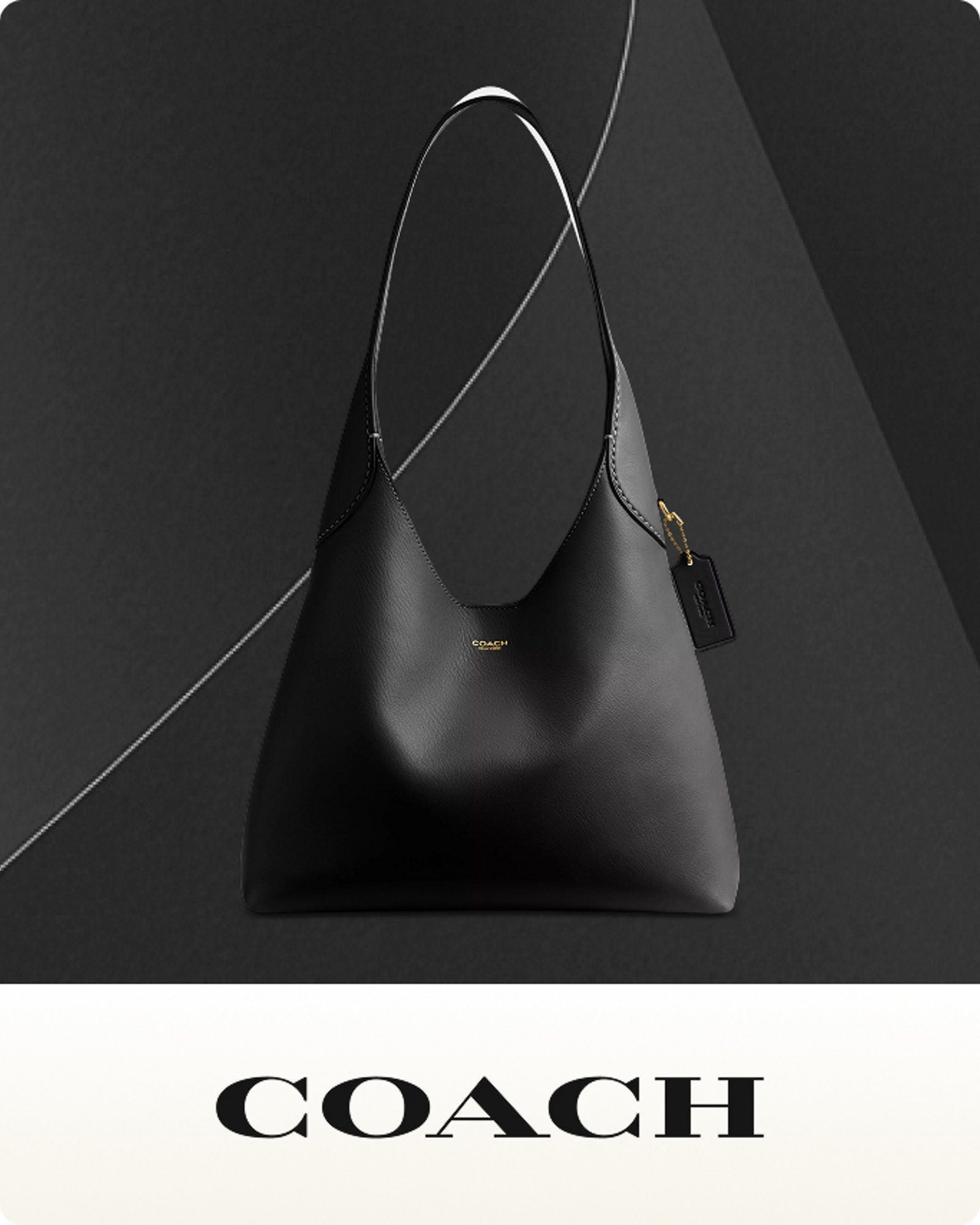 more-to-explore-brands-coach