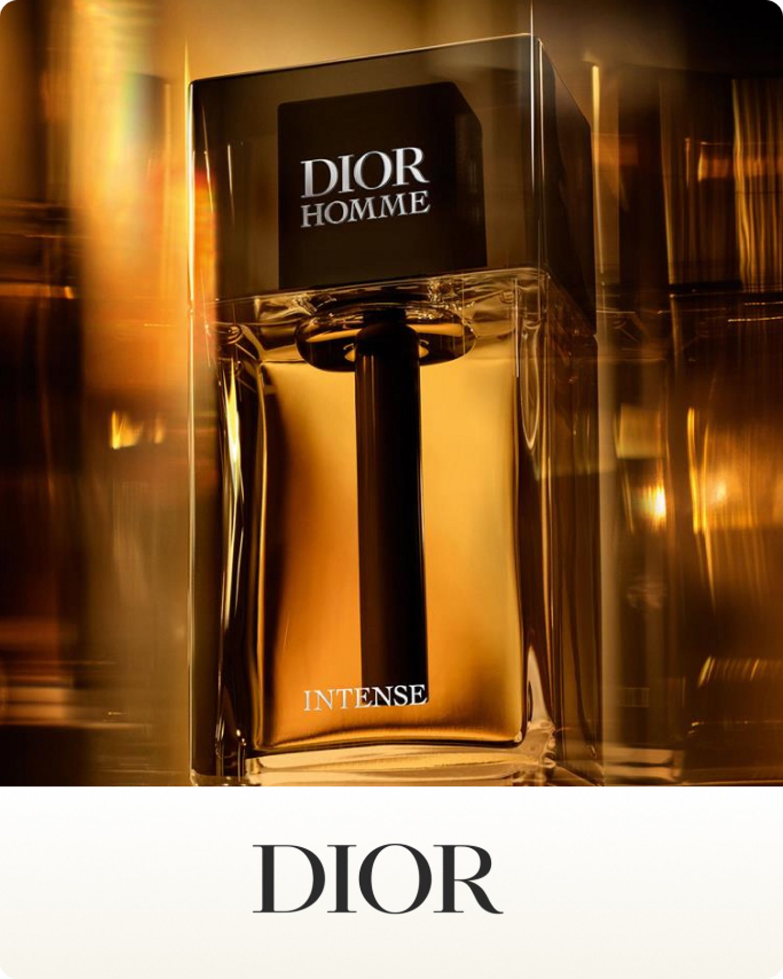 more-to-explore-dior-brands-to-love