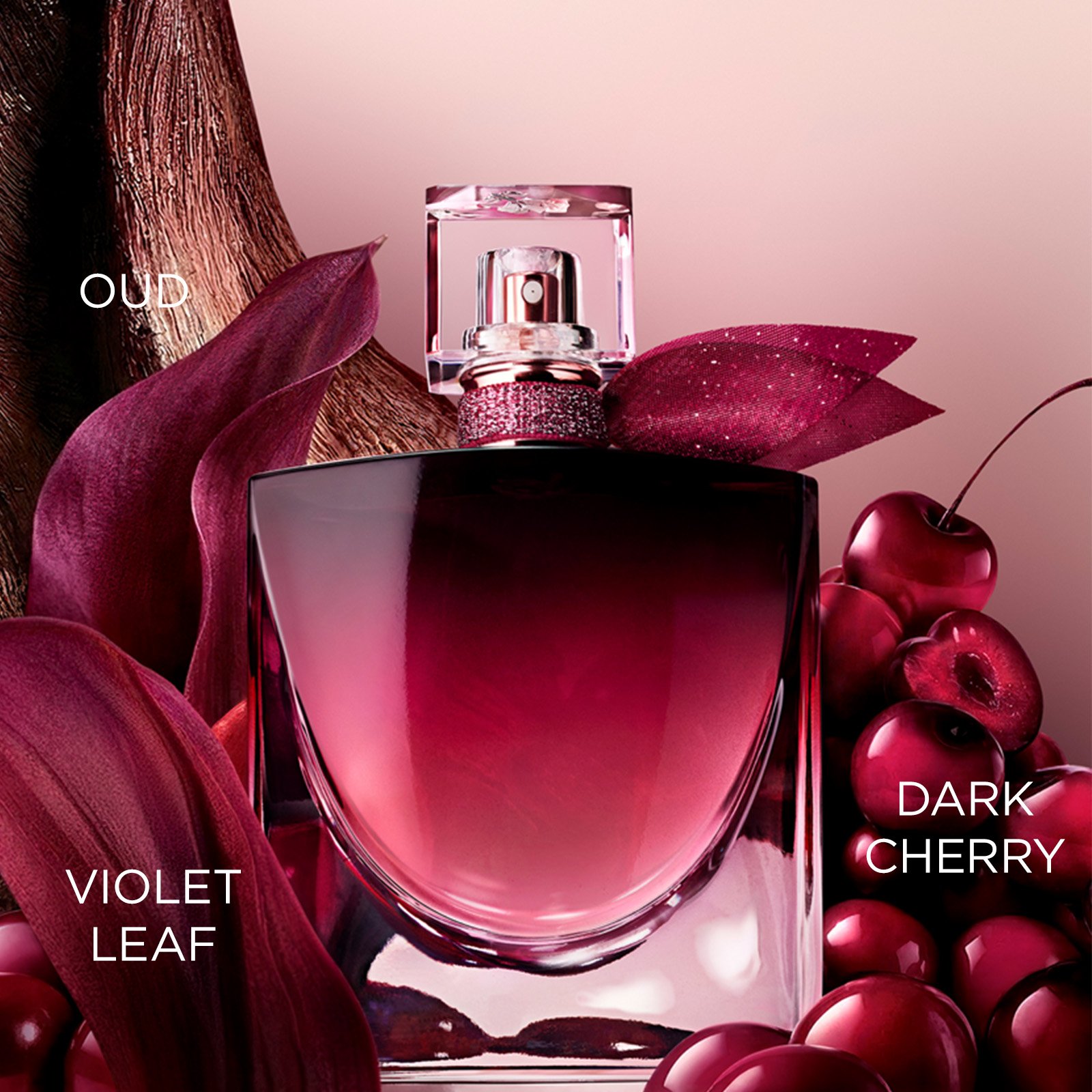 violet leaf