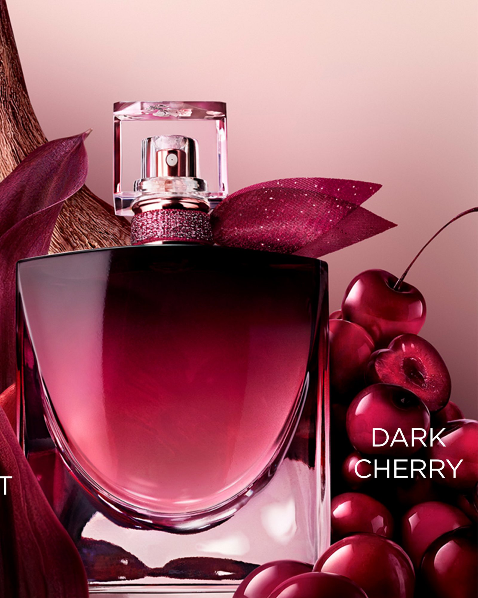 lancome berry 