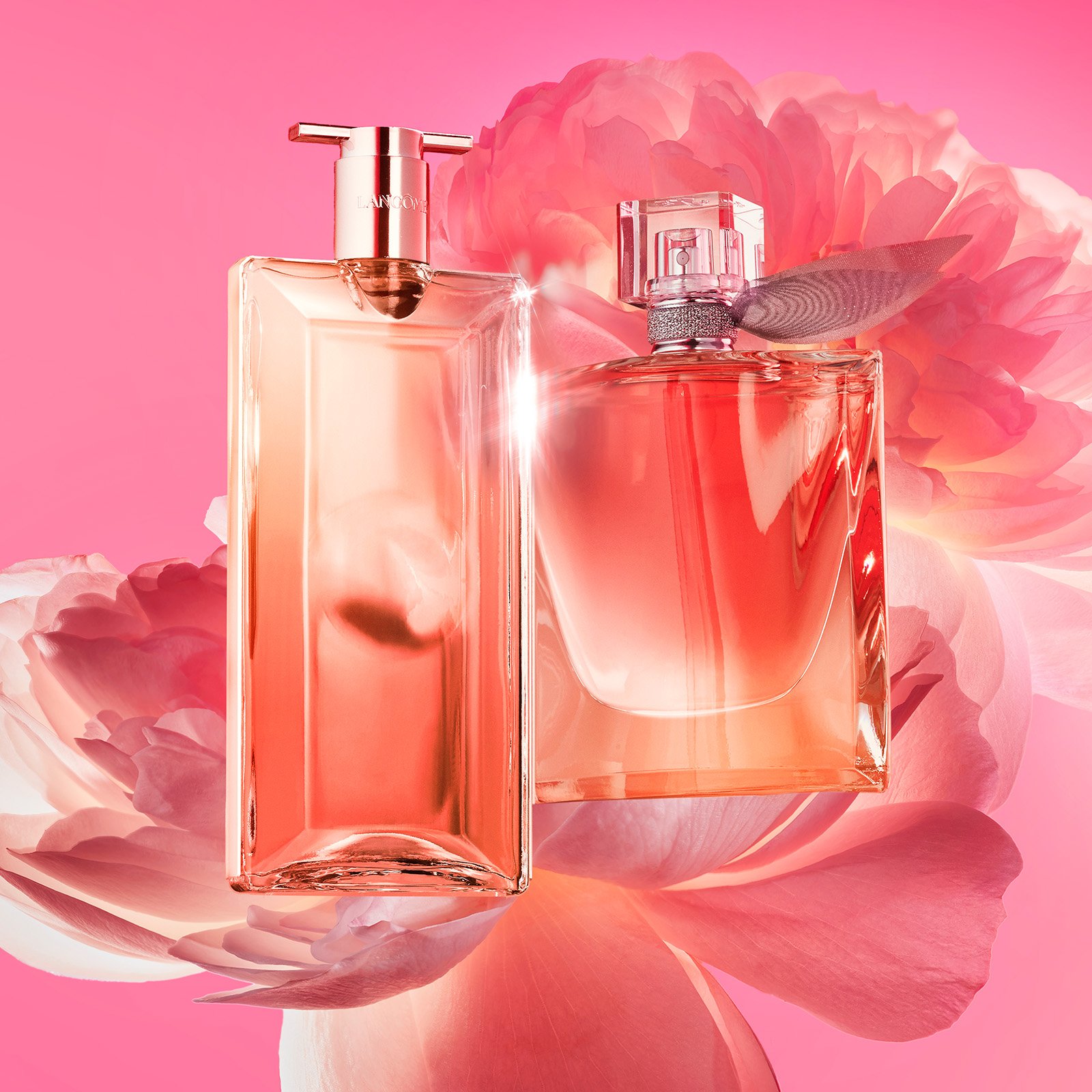 Fragrance collection