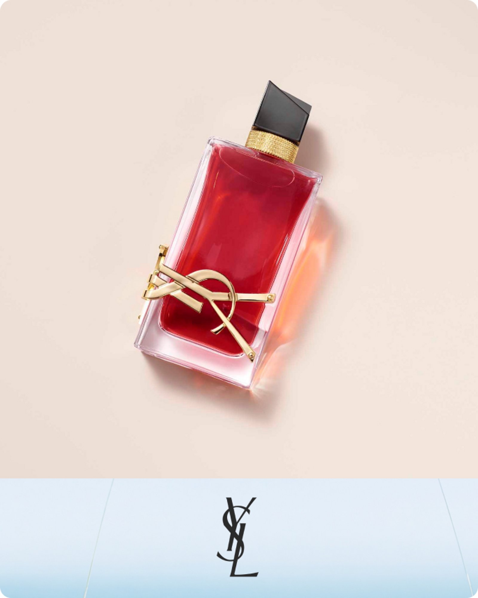 more-to-explore-ysl-top-brands