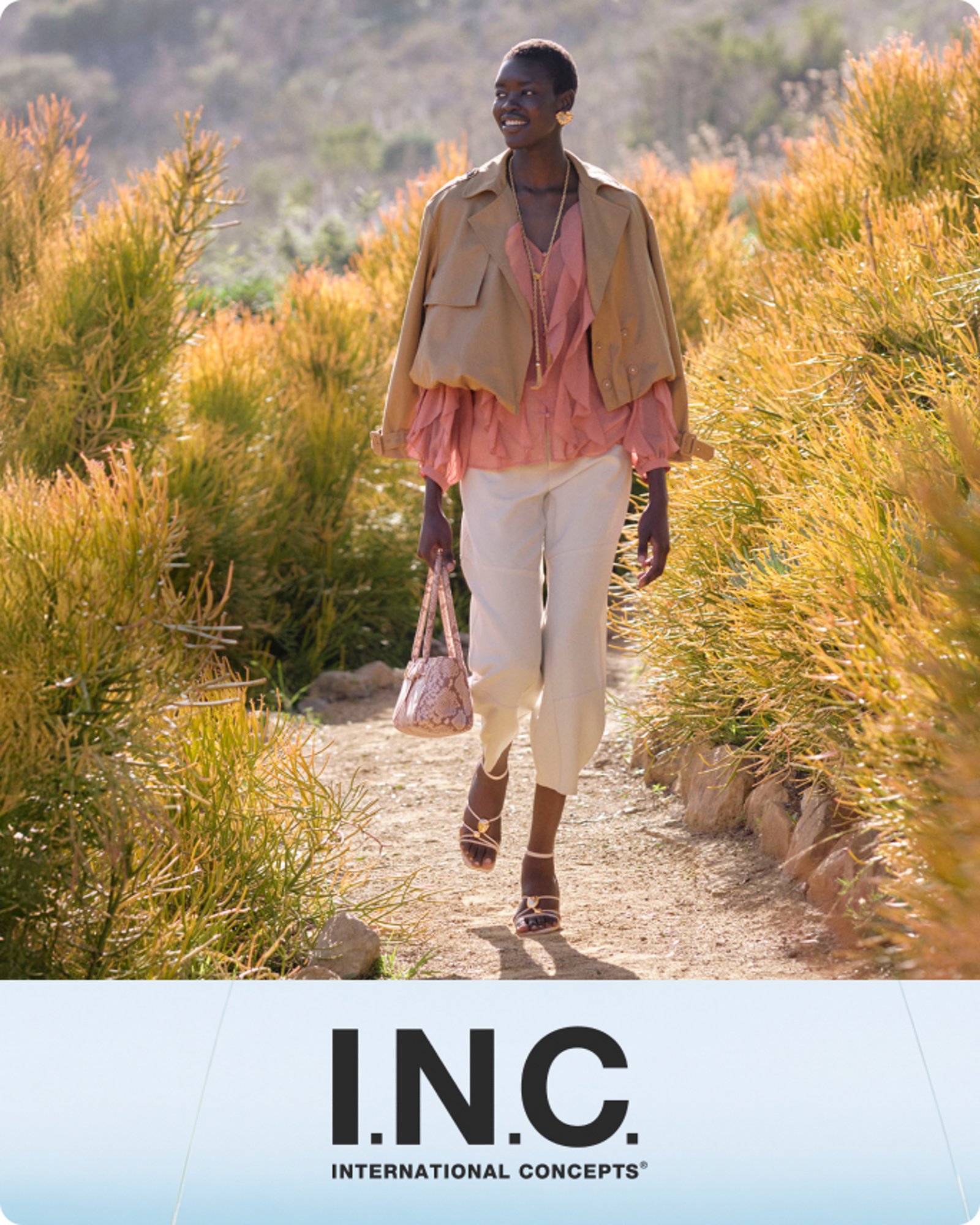 more-to-explore-inc-top-brands