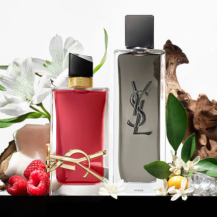 YSL Fragrance Spotlight