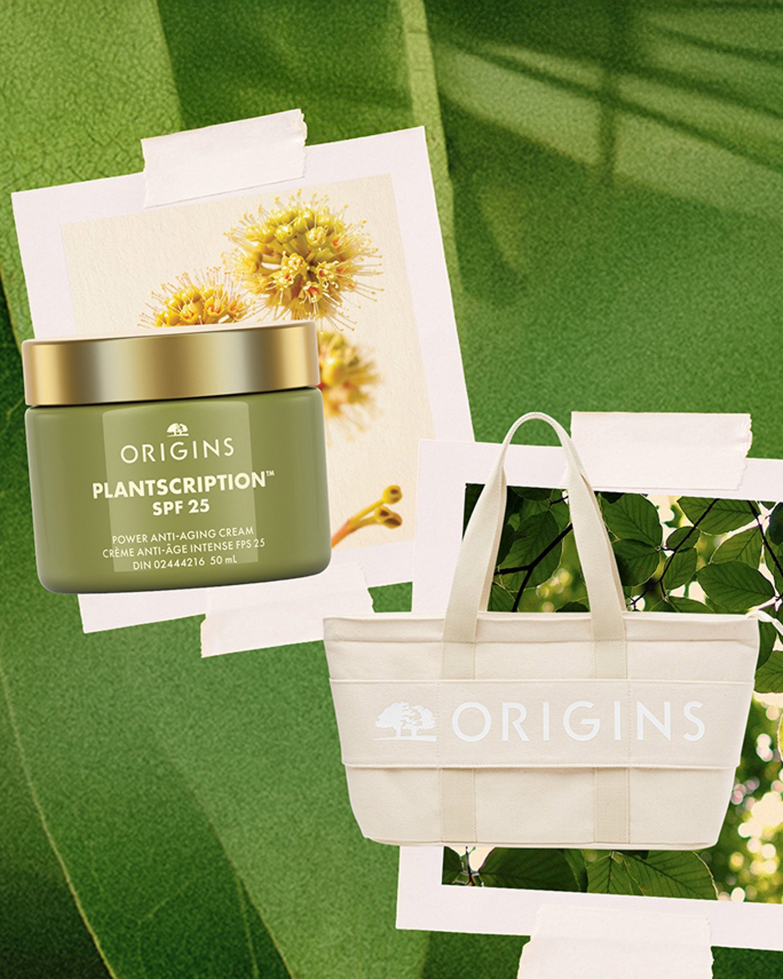 Beauty-trend-whats-trending-now-Shop-Origins