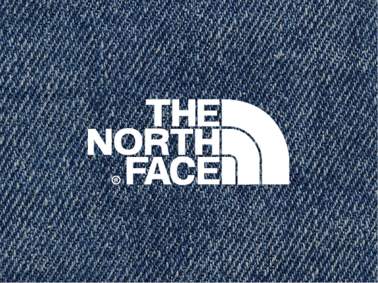 more-to-explore-brands-the-north-face