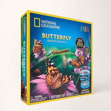 Shop educational toys