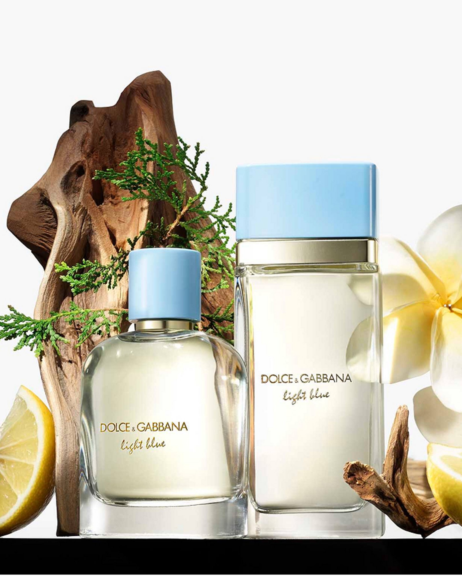 Beauty-trend-whats-trending-now-dolce-gabbana