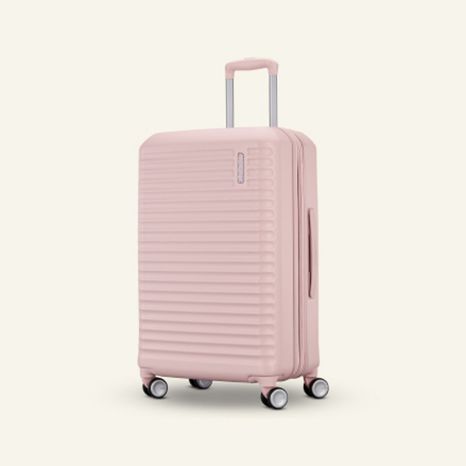 Checked Luggage