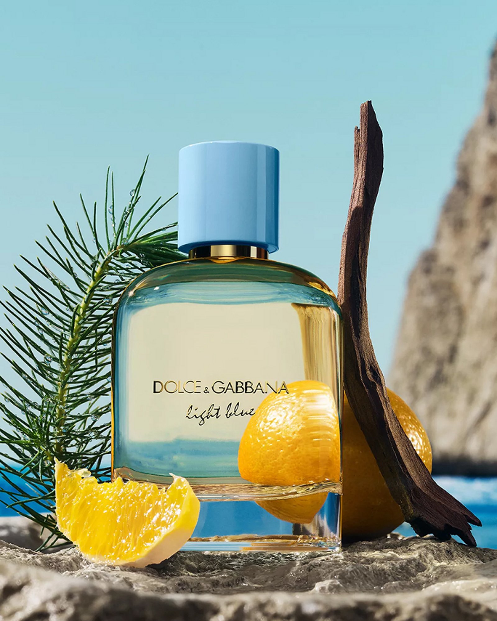 Shop Citrus Scent