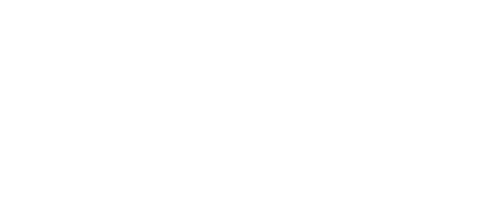 STEVE MADDEN