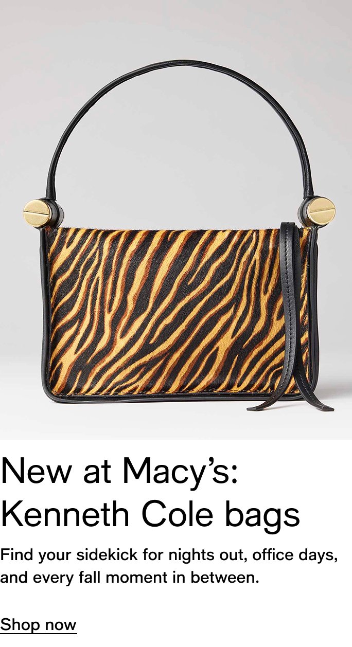 Handbags-accessories-bma-kenneth-cole-bags