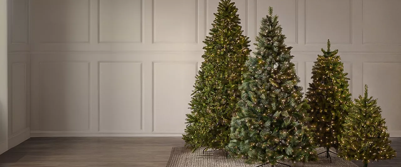 Holiday celebrations begin with a well-trimmed tree
