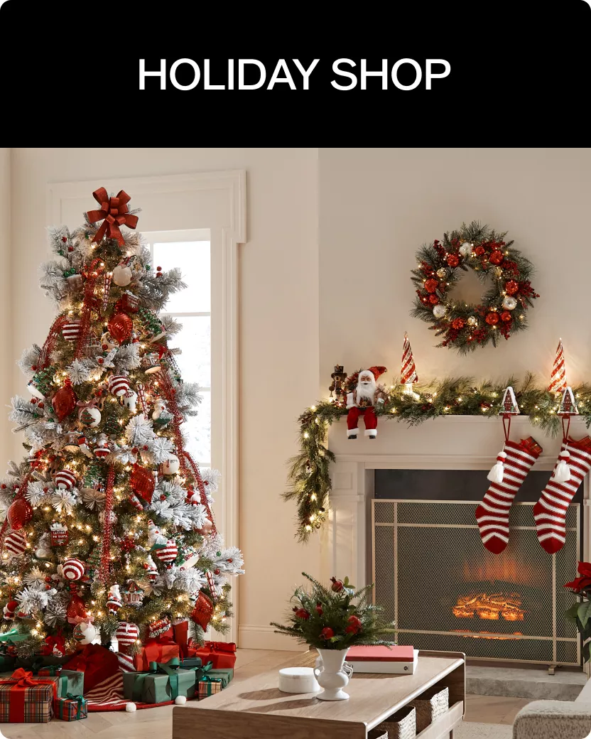 Holiday Shop