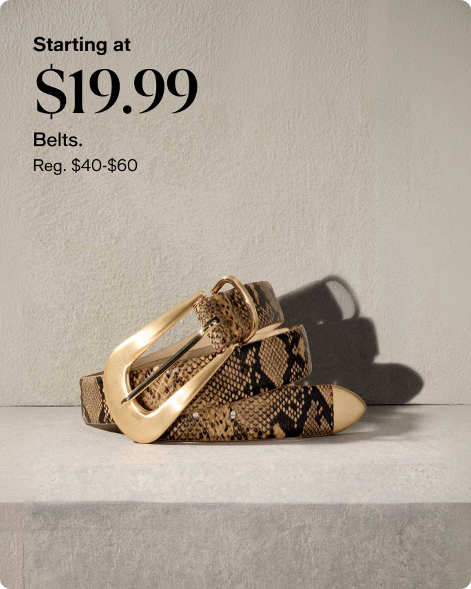 Handbags-accessories-offer-our-top-deals-starting-at-19-99-belts