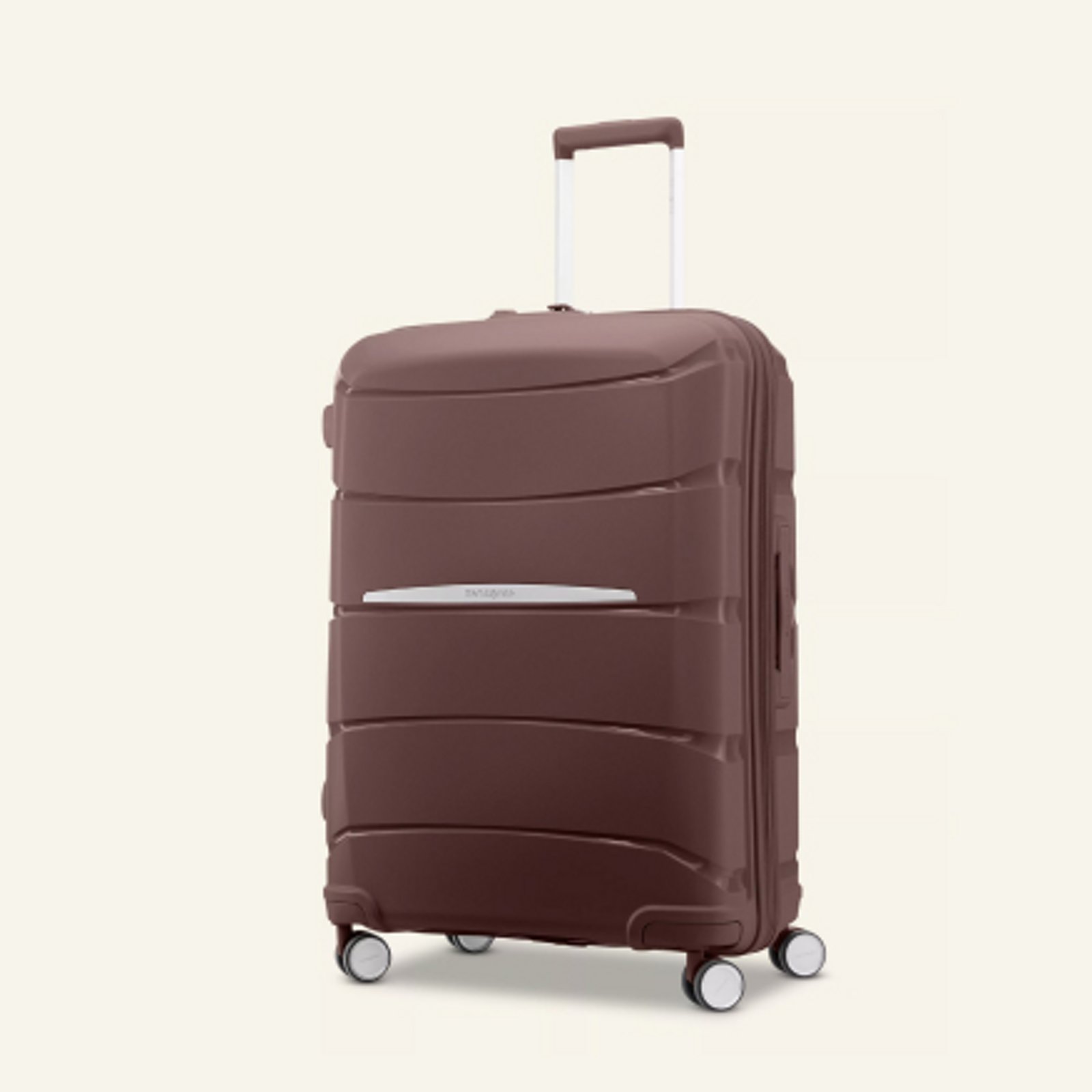Checked Luggage