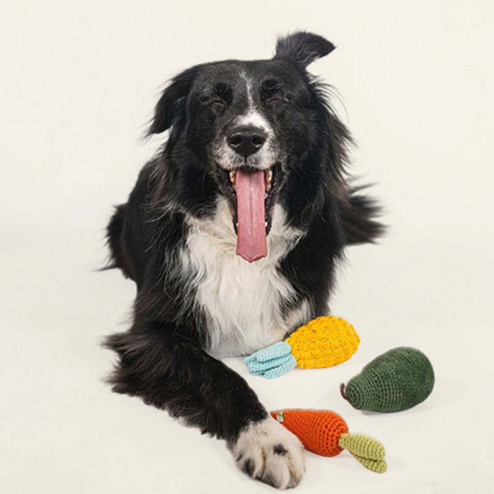 gifts-for-everyone-for-pets