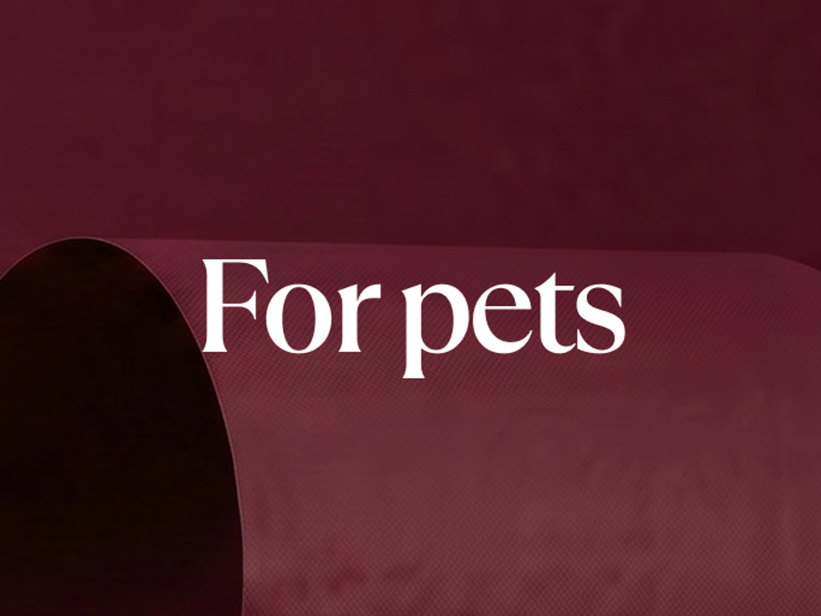 get-the-perfect-gift-for-pets