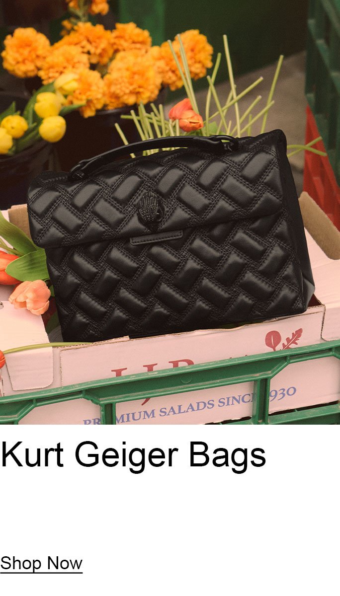 Handbags-accessories-bma-Kurt-Geiger-bags