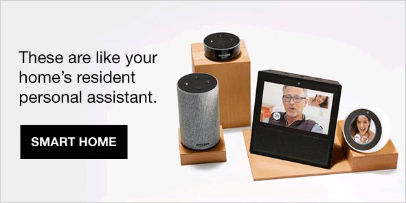 These are like your homes resident personal assistant, Smart Home