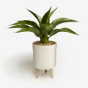Home Decor and Lighting
