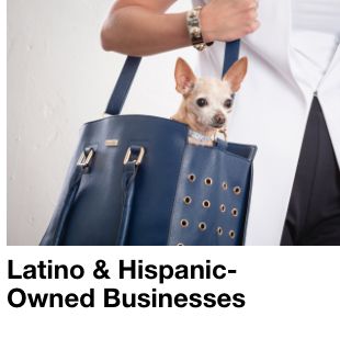 Latino and Hispanic-Owned Businesses 