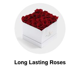 Long Lasting Roses