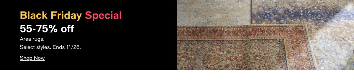 Black Friday Special 55-75% off Area rugs. Select styles. Ends 11/26. Shop Now